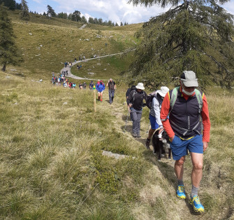 Il sentiero della Trementina: l'oro colato delle montagne della Valgrigna Il sentiero della Trementina: l'oro colato delle montagne della Valgrigna