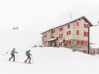 In the presence of His Majesty The Ladder