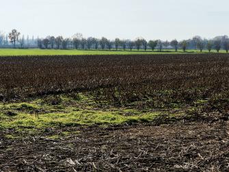 From Cassano to Lodi on the banks of the Adda River.