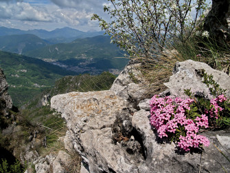 Sulla Filaressa un'oasi di fiori