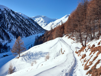 Lungo le Tee, nella valle delle pecore