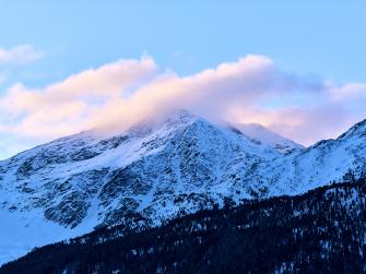 In the silence of the forest, among firs and larches
