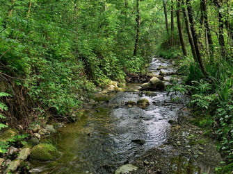 Da Valgreghentino intorno al Monte di Brianza