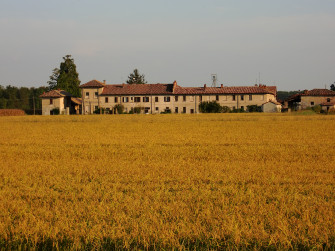 A spasso per i fontanili