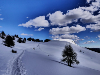 Ciaspolata Pian delle Betulle e Cima Olino con guida Ciaspolata Pian delle Betulle e Cima Olino con guida