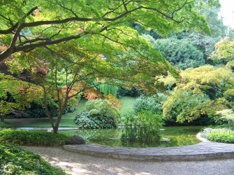 Bellagio, the pearl of lake Como