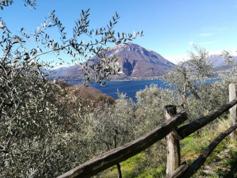 Assaporare il lago di Como