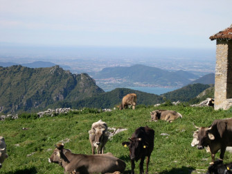 A piedi lungo la Via del Ferro nella Val Trompia A piedi lungo la Via del Ferro nella Val Trompia