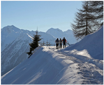 Ciaspolata nel Parco dell'Adamello Domenica 16 febbraio 2020 Ciaspolata nel Parco dell'Adamello Domenica 16 febbraio 2020