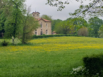 Inaspettato Parco & dentro il parco di Monza 