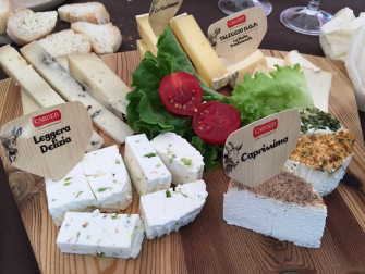 Cheese bike tour with guide and tasting Cheese bike tour with guide and tasting