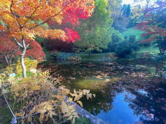 Guided tour gardens of Villa Melzi starting at 11.30am Guided tour gardens of Villa Melzi starting at 11.30am