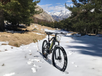 NOLEGGIO BICI ELETTRICHE E MUSCOLARI NOLEGGIO BICI ELETTRICHE E MUSCOLARI