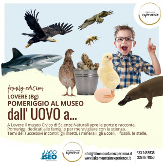 POMERIGGIO AL MUSEO: DALL'UOVO A...