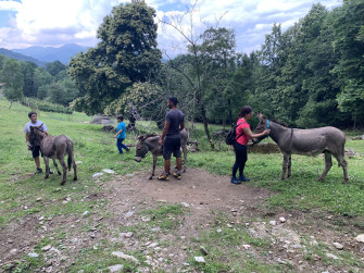 Trekking someggiati con asinelli 