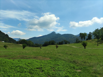 Visita guidata del caseificio dell'Alpe di Megna con degustazione