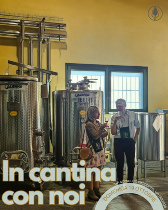 In cantina con noi - Visita & Degustazione