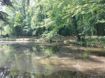 Il Lambro nel Parco di Monza