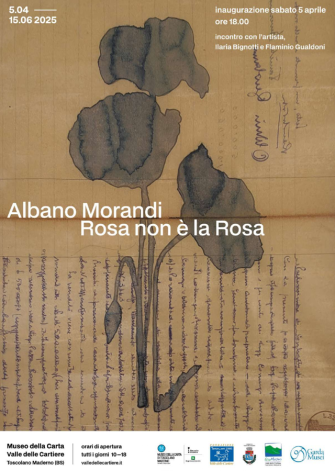 ALBANO MORANDI. Rosa non è la Rosa ALBANO MORANDI. Rosa non è la Rosa