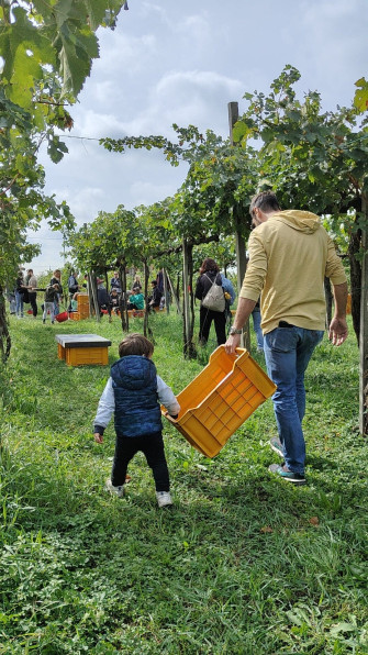 Vendemmia, Pigiatura dell’Uva e Picnic in Vigna a Bergamo per Bambini Vendemmia, Pigiatura dell’Uva e Picnic in Vigna a Bergamo per Bambini