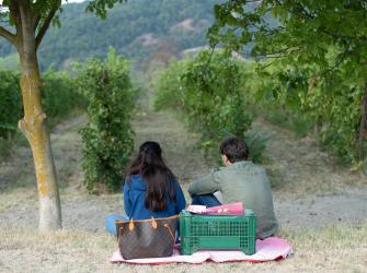 Picnic in the vineyard