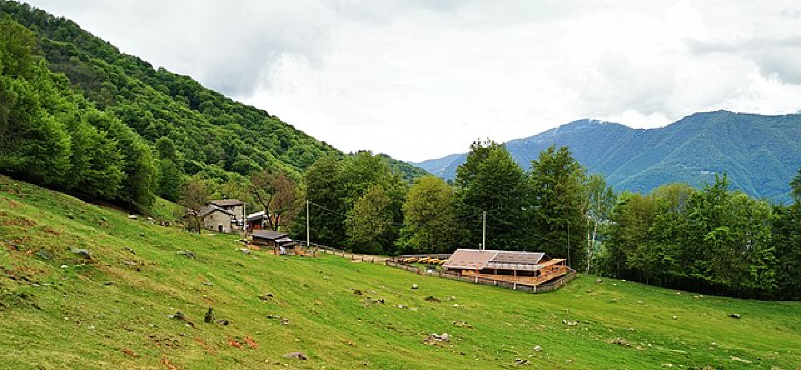 La piana dell'Alpe di Lemna.