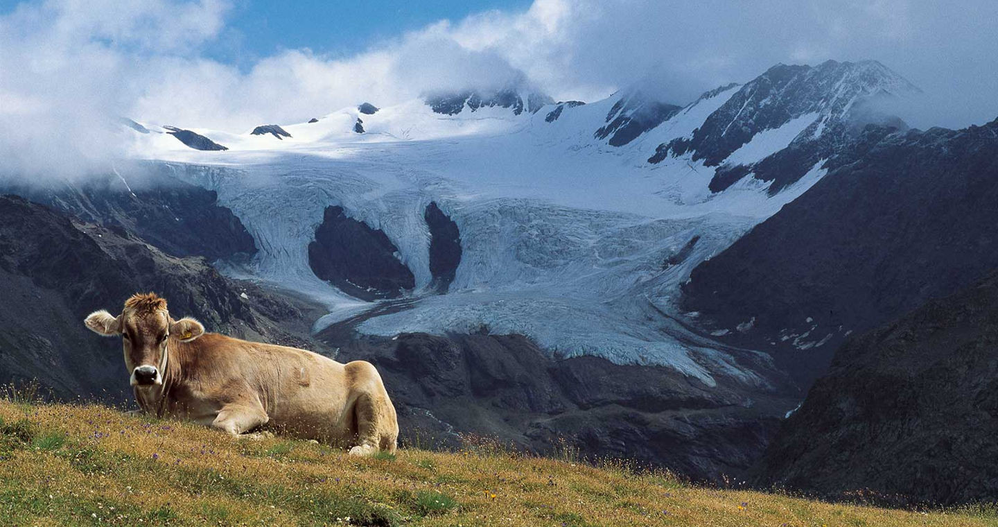 Que hacer en las montanas lombardas