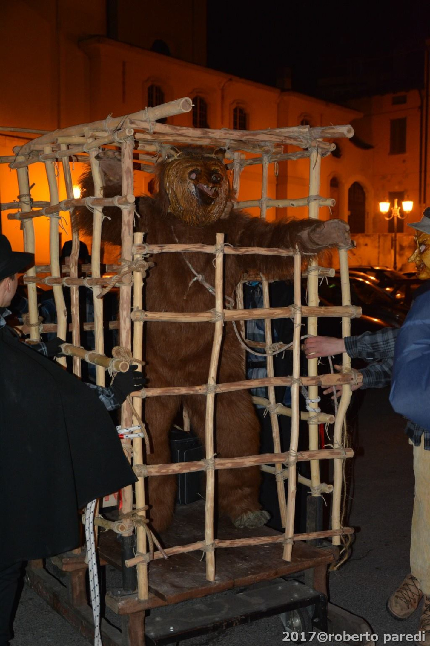 L'orso catturato e messo in gabbia.