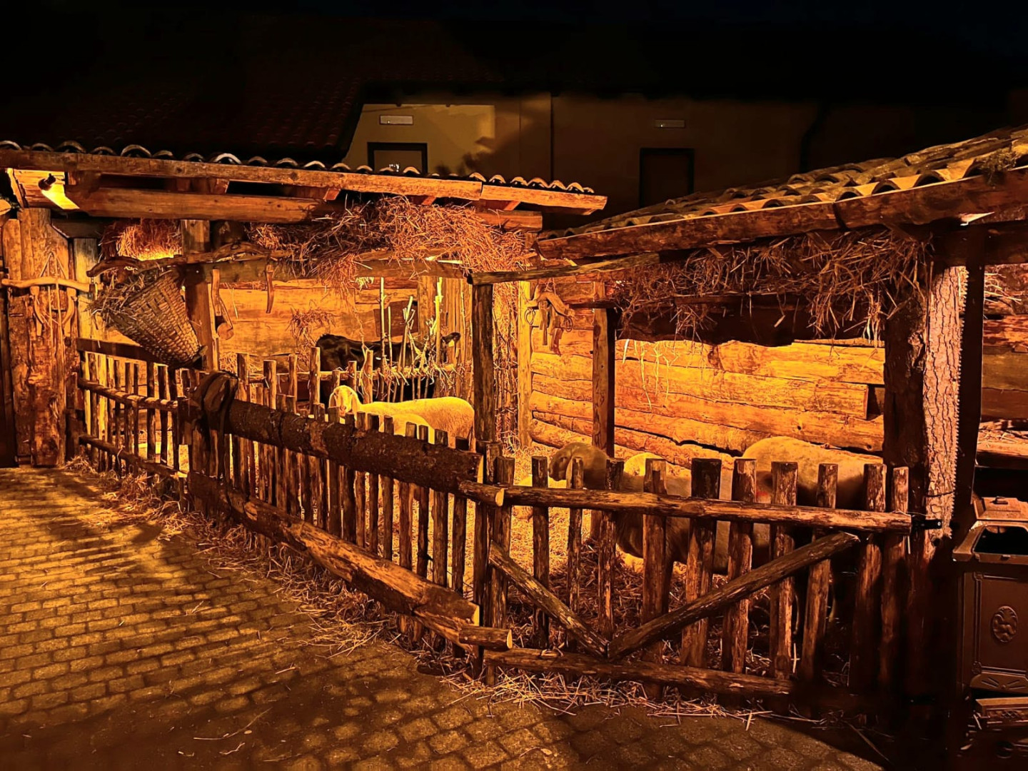 dettaglio del presepe vivente di Albairate