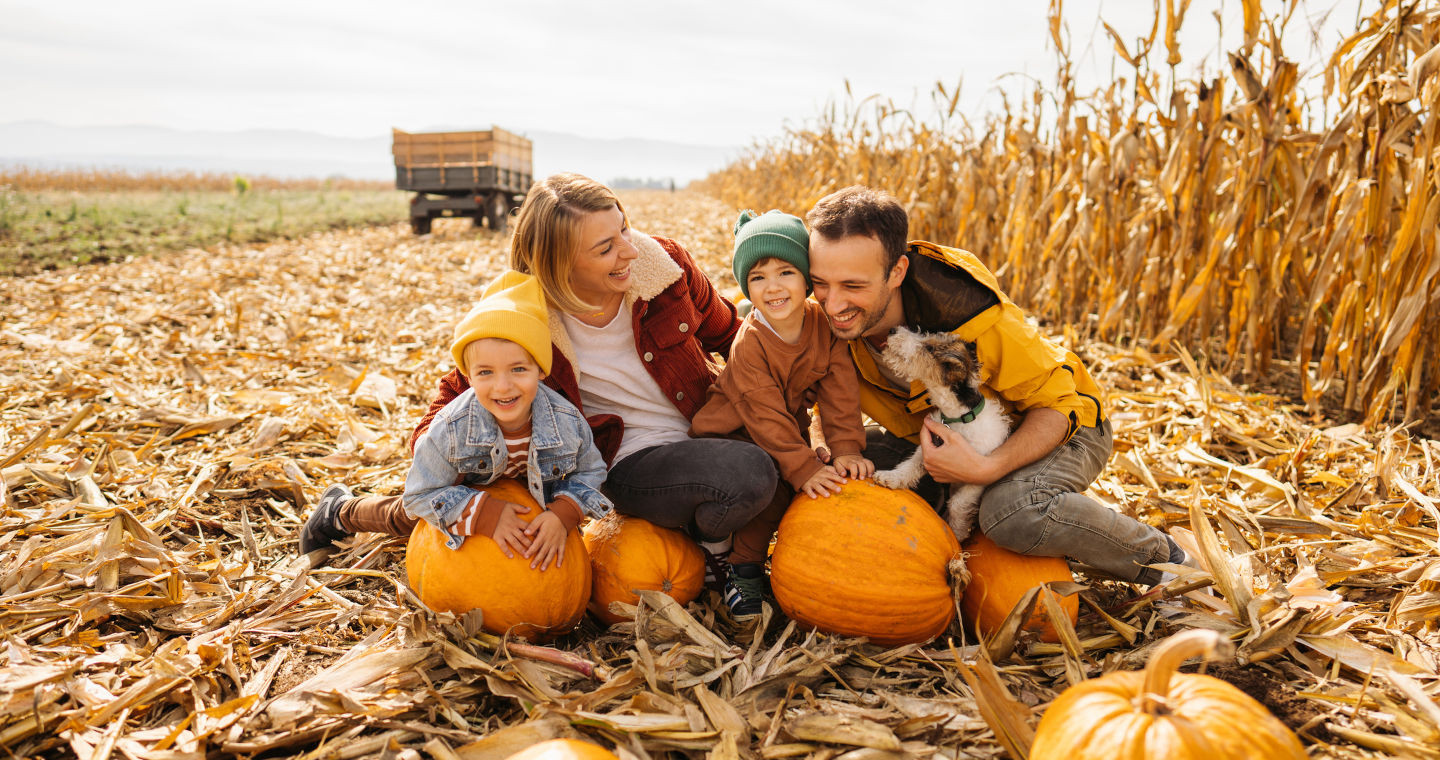 Unmissable events in October