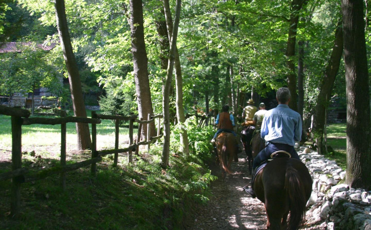 A cavallo tra sentieri e ippovie con servizi dedicati