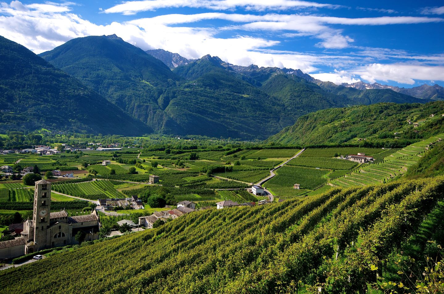 Valtellina (SO)