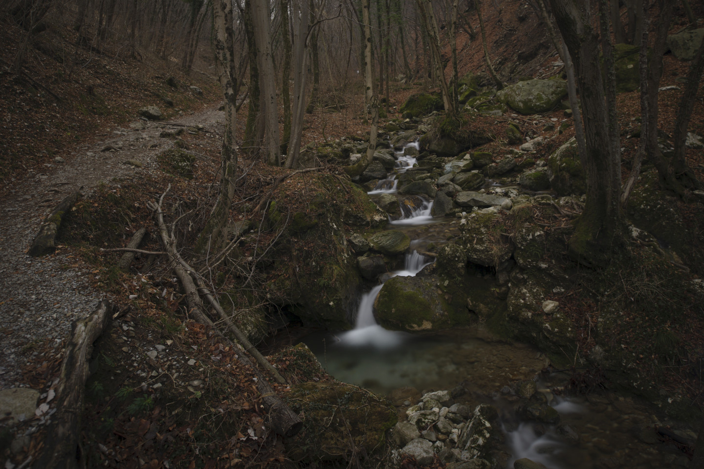 Il corso del torrente Ravella nei boschi d Canzo.