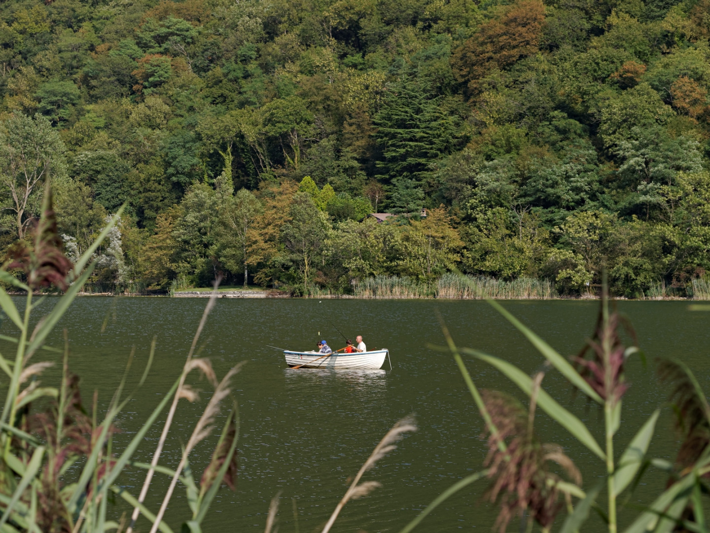 Una barchetta a remi sul Lago Segrino.