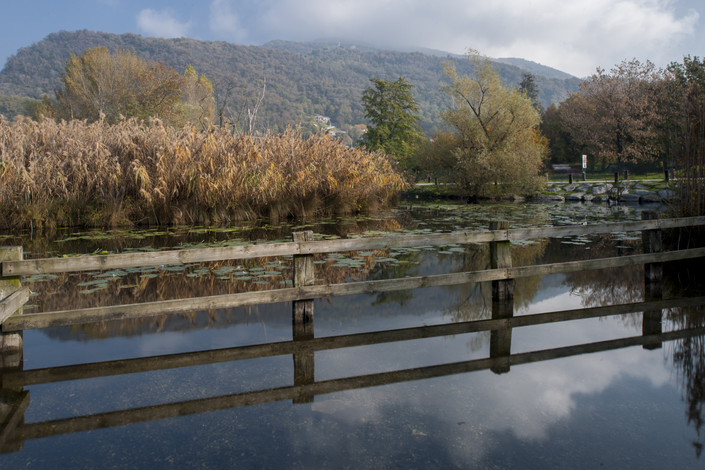 Riflessi sul Lago Segrino.