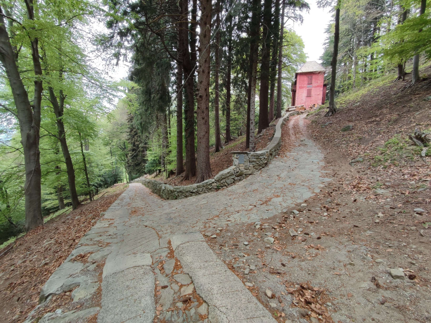 Il lastricato della mulattiera della Strada Regia.