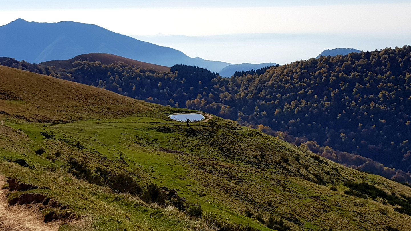 Pozza di abbeverata tra i pascoli verdi