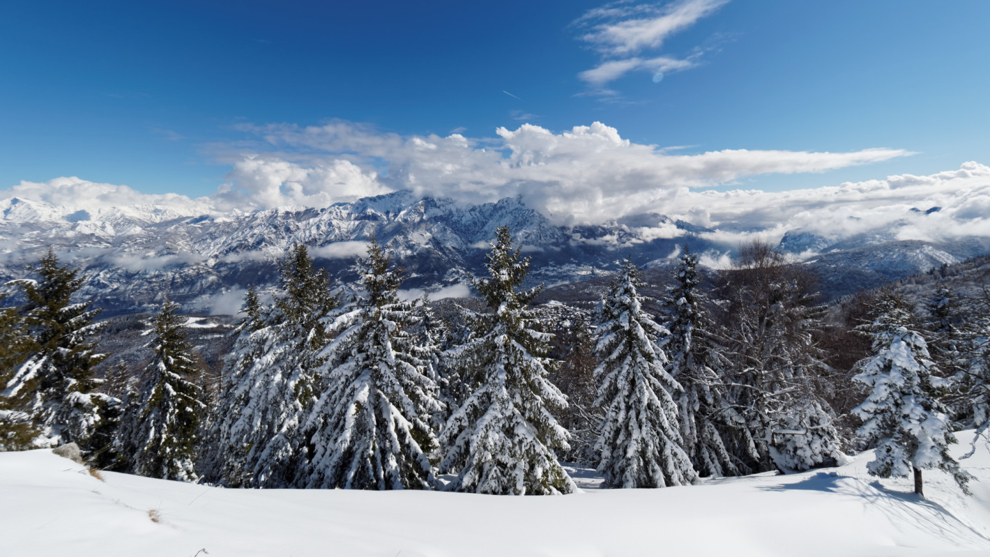 Boschi e montagne innevate