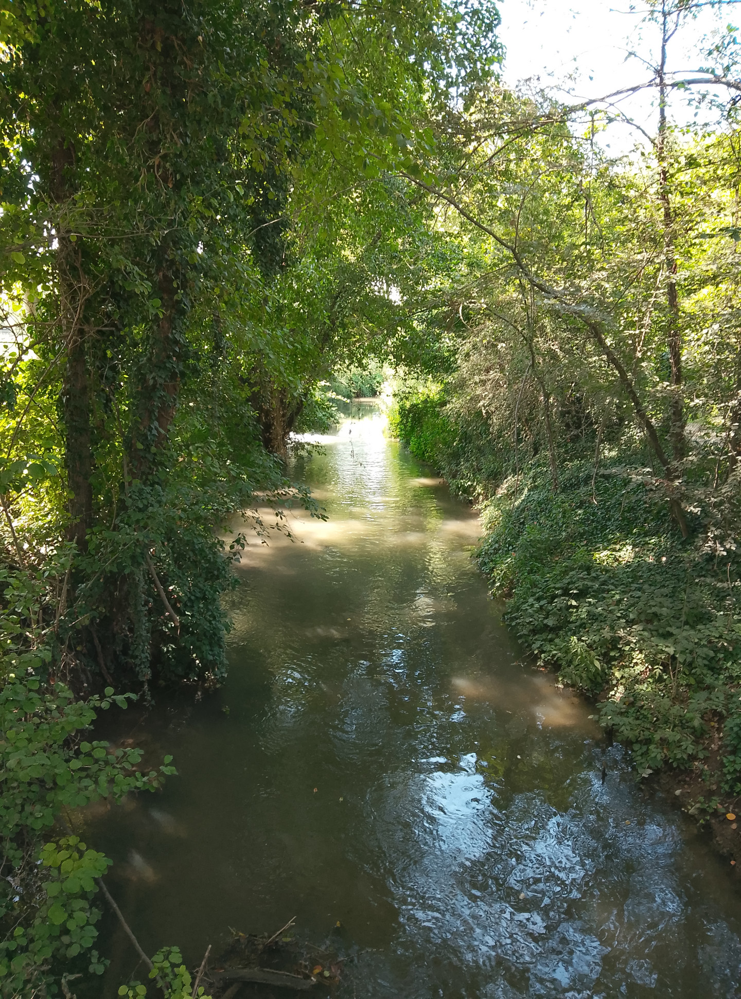 Parco Ittico