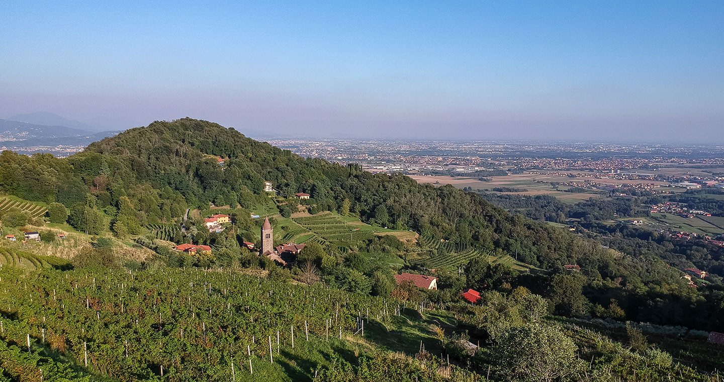 Vista sui vigneti (ph: Giacomo Albo, Aglaia srl)