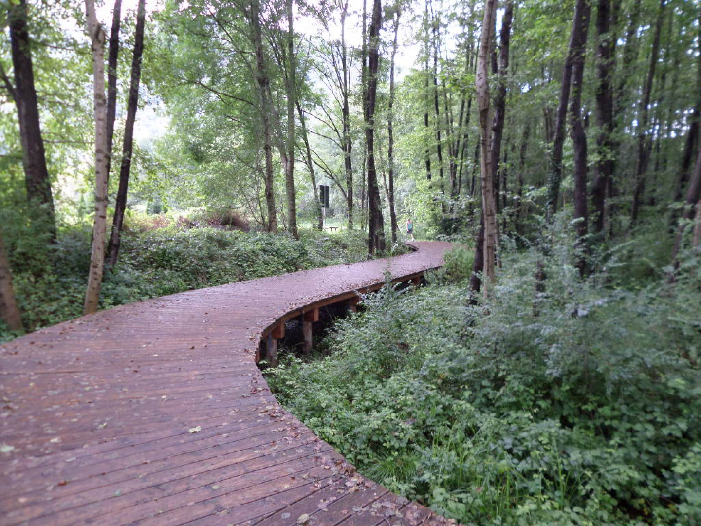 Il suggestivo "passaggio sospeso" sulle passerelle di legno a Rancio Valcuvia