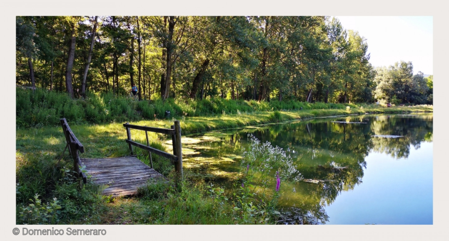 L'acqua, tra torrenti, laghi e laghetti, accompagna in maniera costante il percorso della ciclabile della Valcuvia