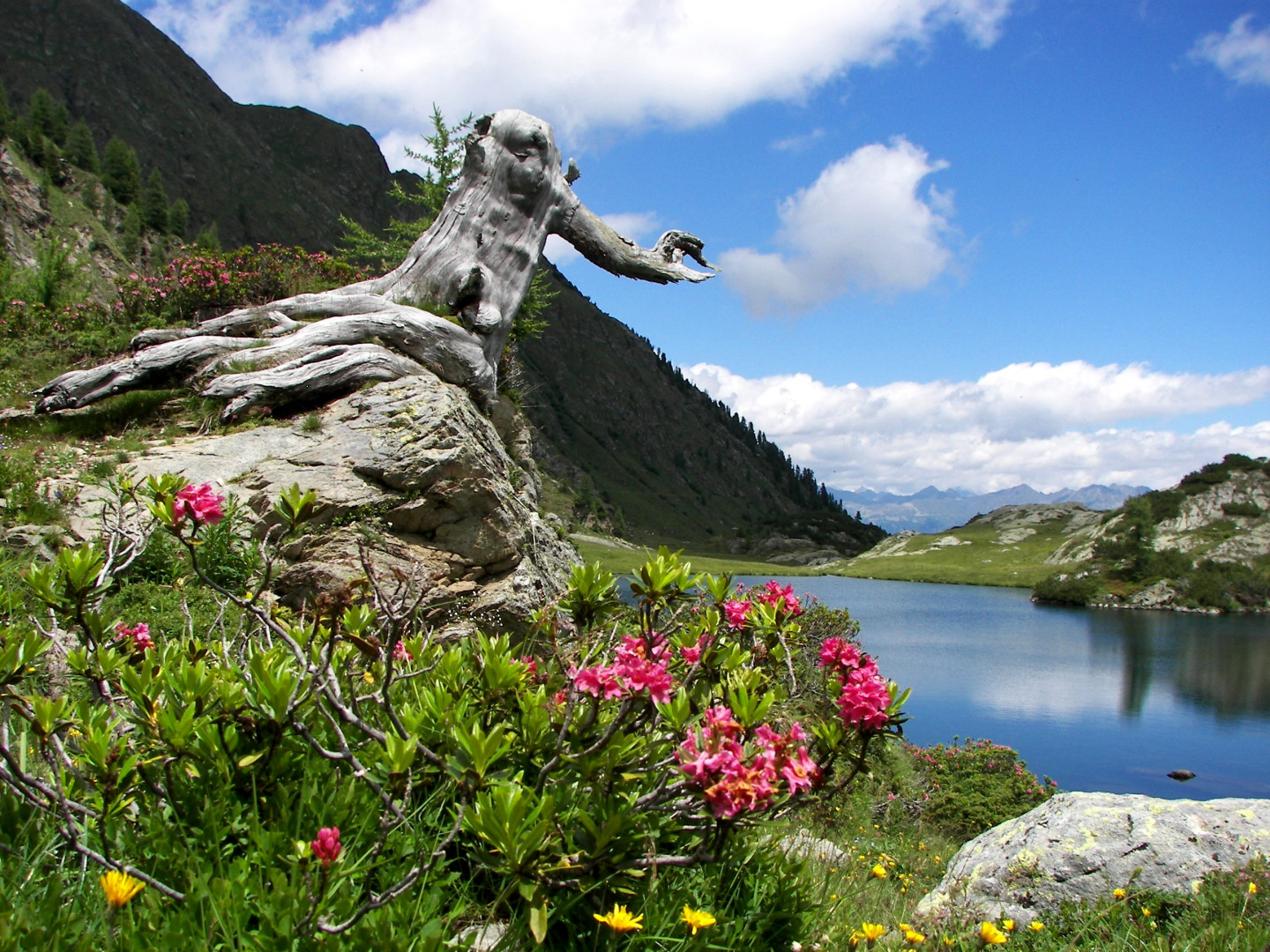 Orobie scorcio Lago Nero 