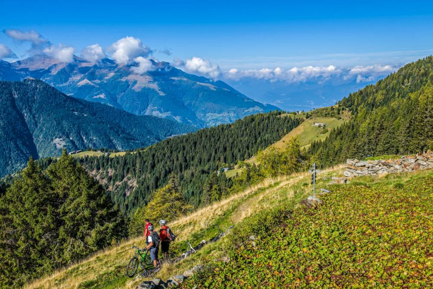 Parco delle Orobie Valtellinesi 