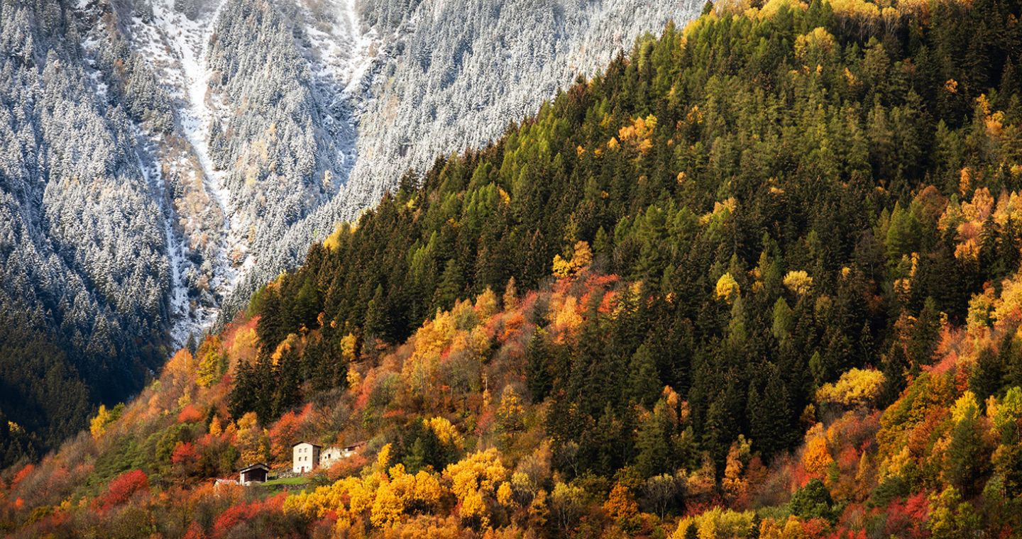 Versante innevato e colori autunnali