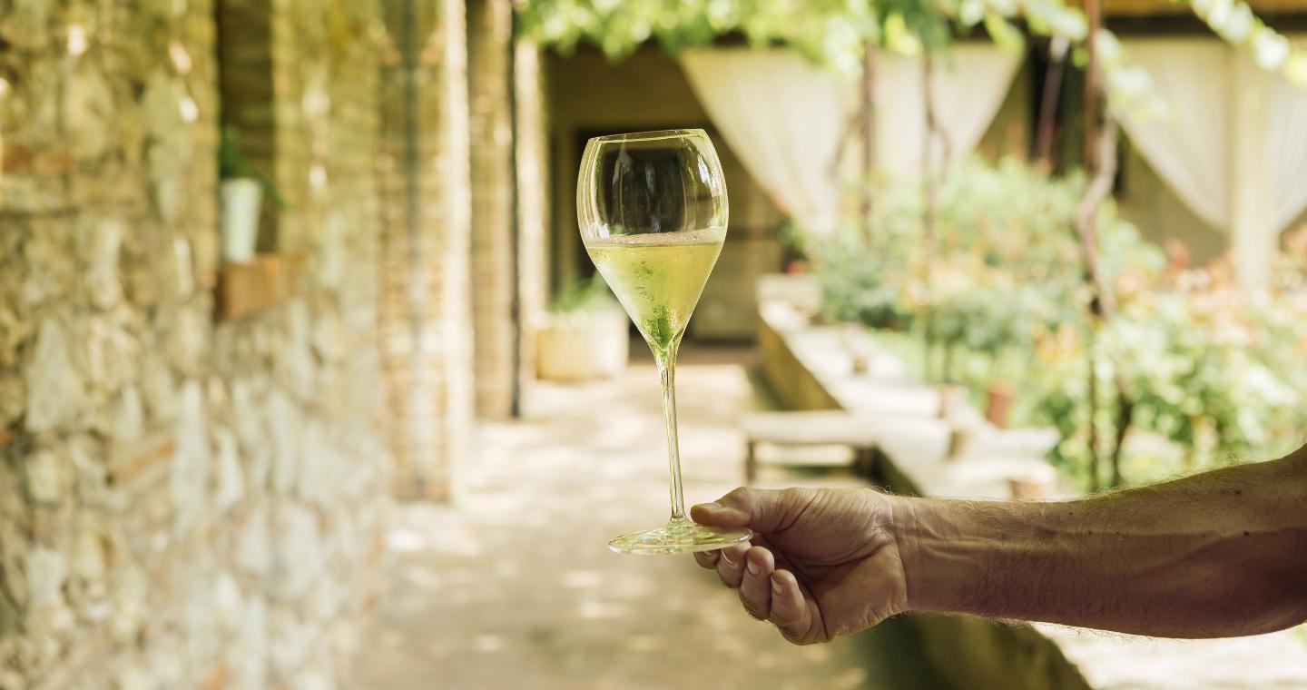 Wine glass from the Franciacorta wineries