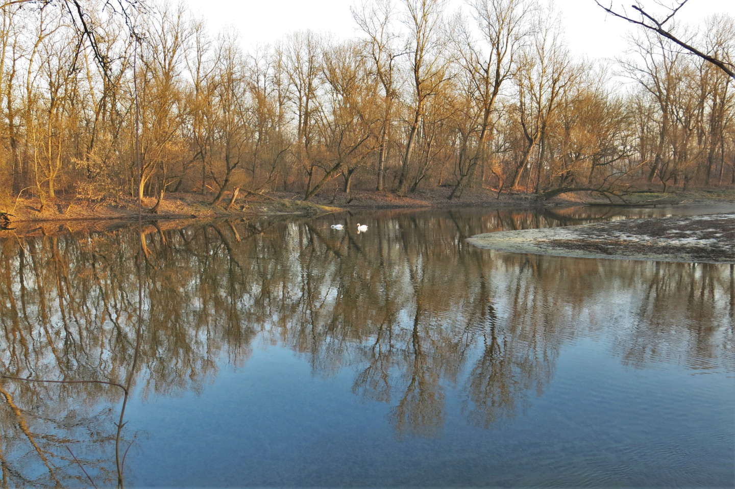 Il Ticino, "fiume azzurro".