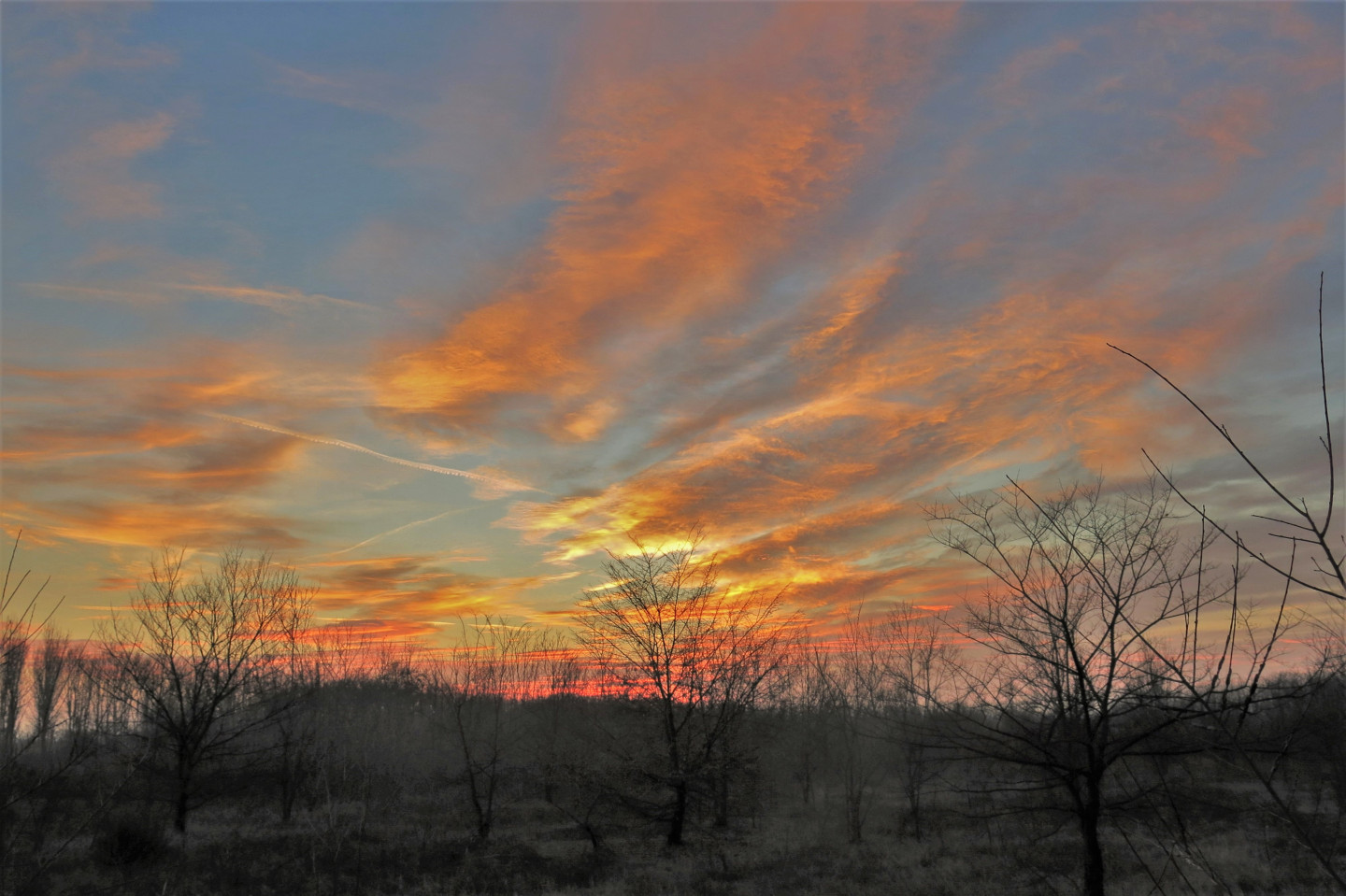Tramonto nei boschi del Ticino.