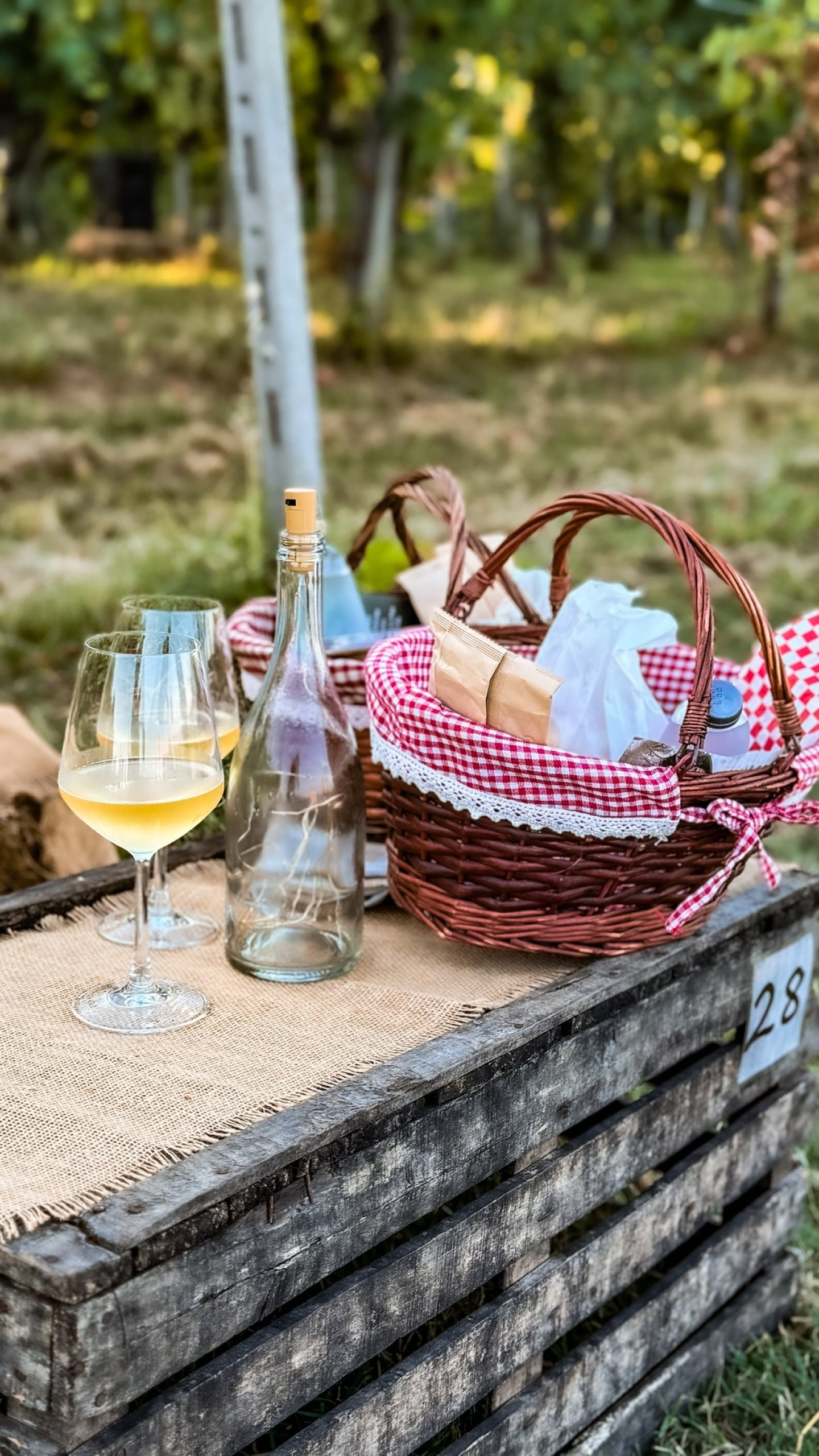 cesto da picnic nel piacentino