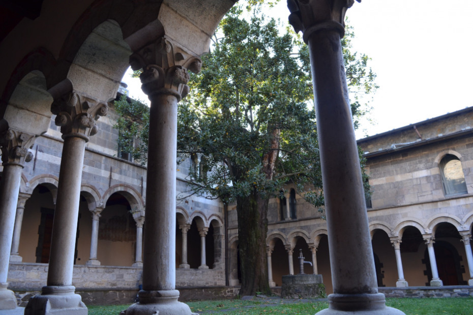 L’ Alloro dell’Abbazia di Piona